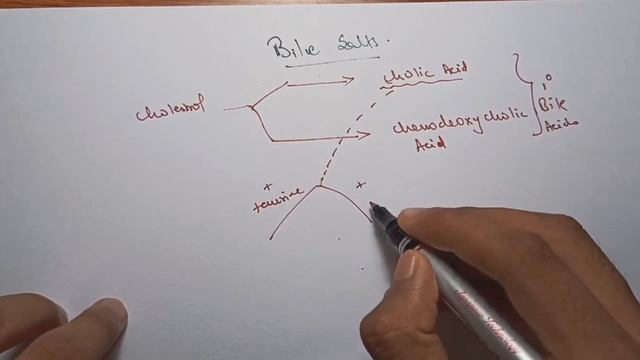 Function Of Liver|| Bile and It's function ||GIT Physiology || hindi || Ashish смотреть онлайн