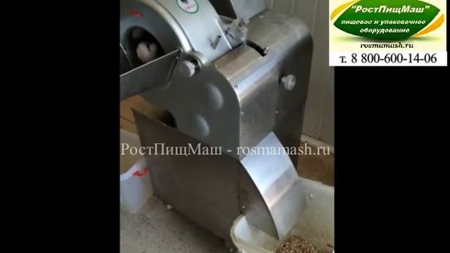 Машина нарезки шампиньонов на кубик-соломку-слайс CHD-100от РостПищМаш смотреть онлайн