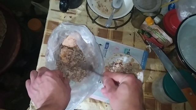 ВИТАЛИК И АНГЕЛИНА ПОЖАР Я СКАЗАЛ ПРАВДУ. КОРОЛЕВСКАЯ ЕДА ДЛЯ КОШКИ смотреть онлайн