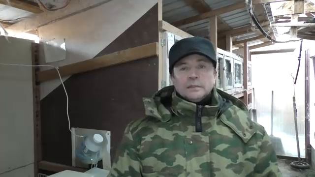 НАЧАЛ РАЗВОДИТЬ КРОЛИКОВ ДВОРНЯЖЕК Кролики содержание и разведение смотреть онлайн