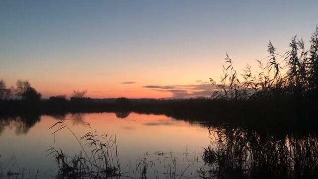 Healing Earth Trauma - Meditation with the setting sun, creating a circle of love around the world. смотреть онлайн