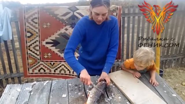 Жаренный сазан смотреть онлайн