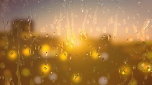 Вода: удивительные факты и значение для жизни