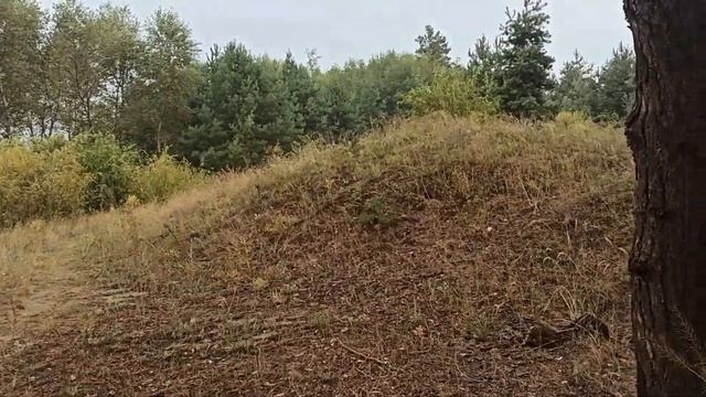 7 сентября народный праздник Титов день. Народные приметы и запреты.