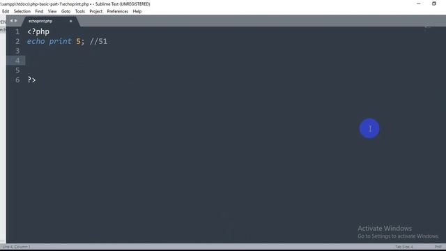 PHP Beginning to Advance Part-2: PHP Echo and Print Statement смотреть онлайн