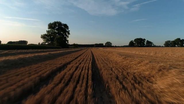 LA MOISSON VUE DU CIEL смотреть онлайн