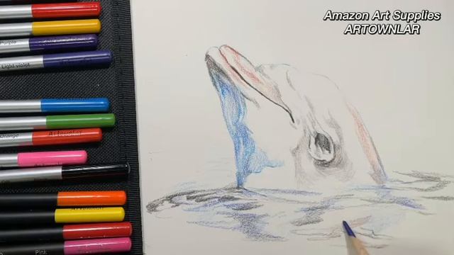 How to draw a dolphin by Artownlar sketching and drawing pencil art supply set смотреть онлайн