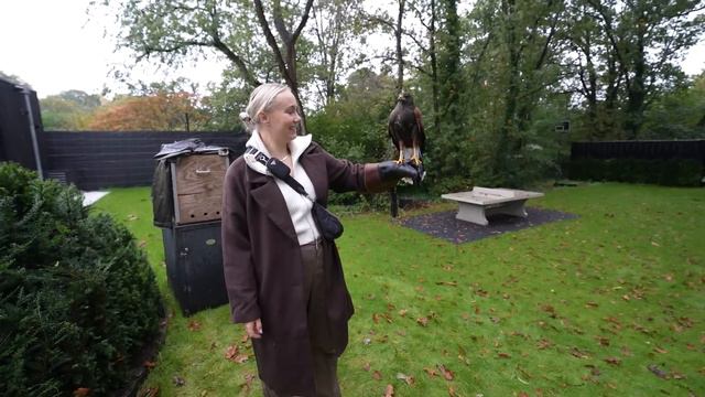 MYRON VANGT EEN ROOFVOGEL!! #3730 смотреть онлайн