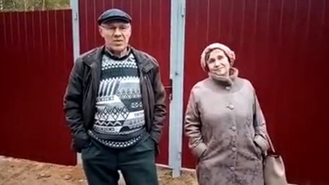 Забор из профнастила, RAL 3005 смотреть онлайн