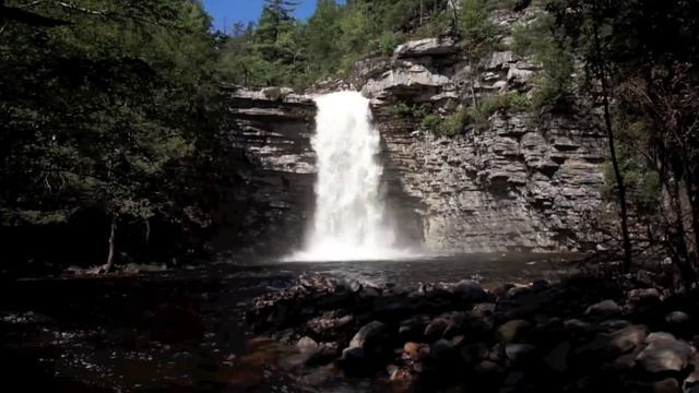 Sony Alpha 35 Sample Video Montage смотреть онлайн