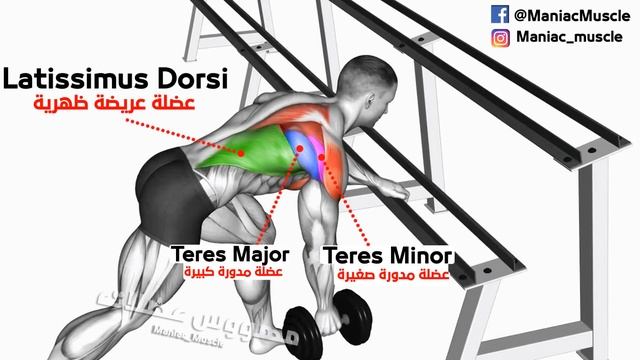 CHEST & BACK - Full Superset Workout Beginners