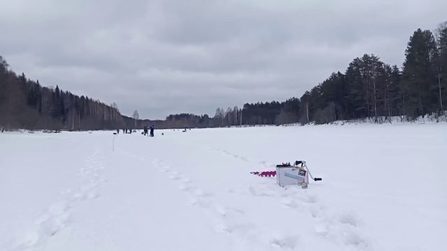 Как устроить ПРАЗДНИК РЫБАКОВ? Весёлый турнир. Ловим рыбу в отличной компании! смотреть онлайн
