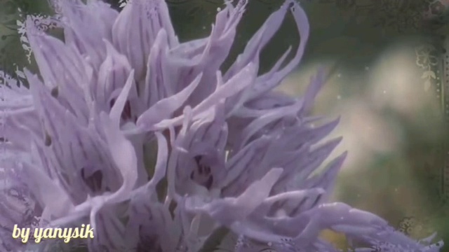 летнее настроение