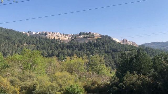 Мы в зоопарке - день рождение Йосефа - 9 лет! смотреть онлайн