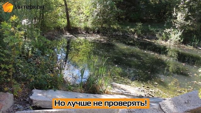 Интеркон в Углянце смотреть онлайн