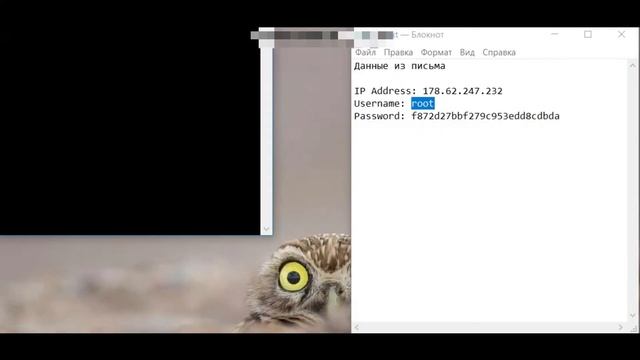 Подключение к серверу через Putty смотреть онлайн