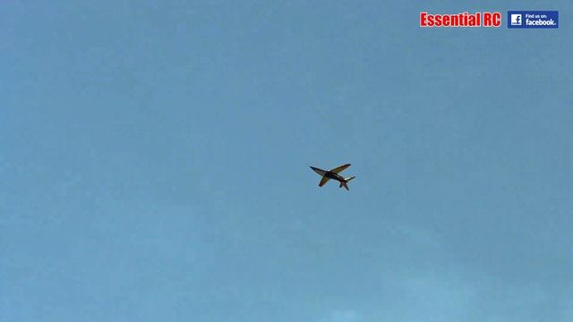 'RARE BEAR' Pirotti Rebel Pro RC SPORT JET [*UltraHD and 4K*] смотреть онлайн
