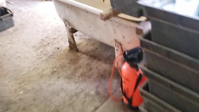 Основные правила при кормление червей в ящиках. Разведение червей для рыбалки