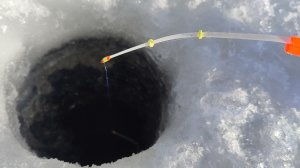 Эхолот разрывался от такого количества рыбы. Ловля плотвы в палатке