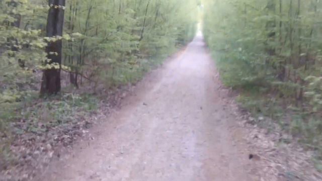 Обьезд моста через лес ! (Польша) смотреть онлайн