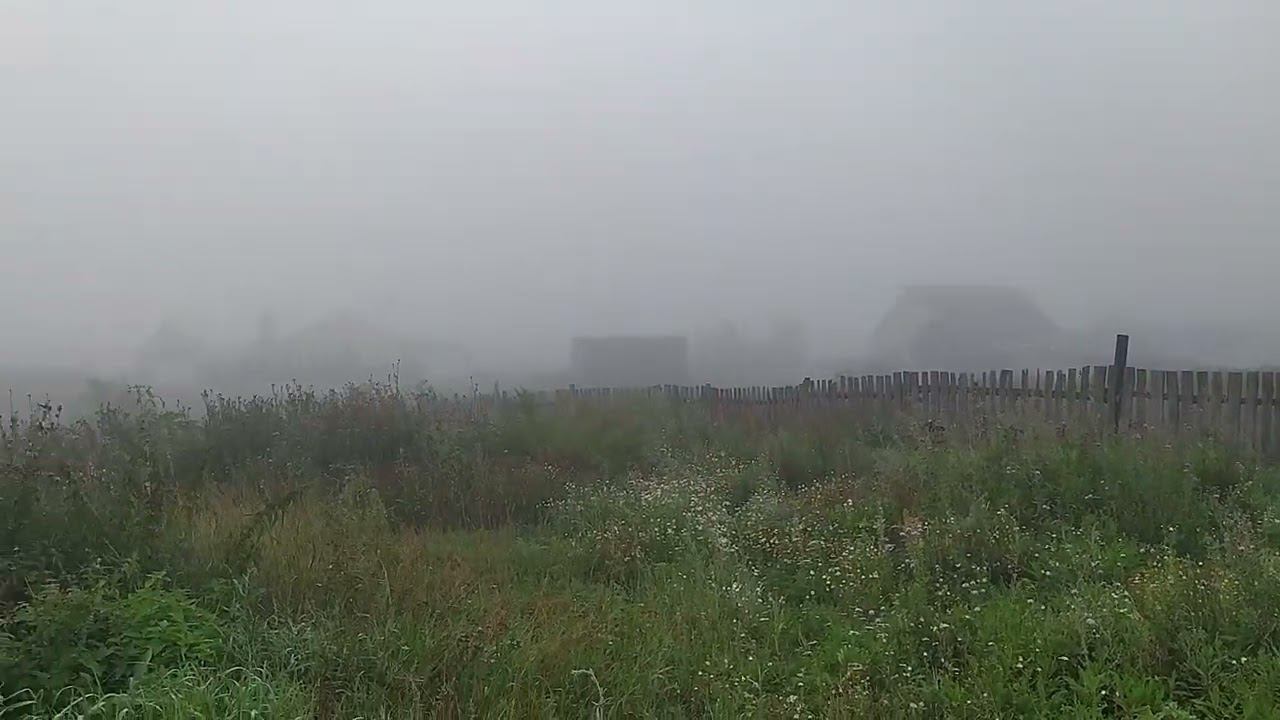туманное утро #село #татарстан смотреть онлайн