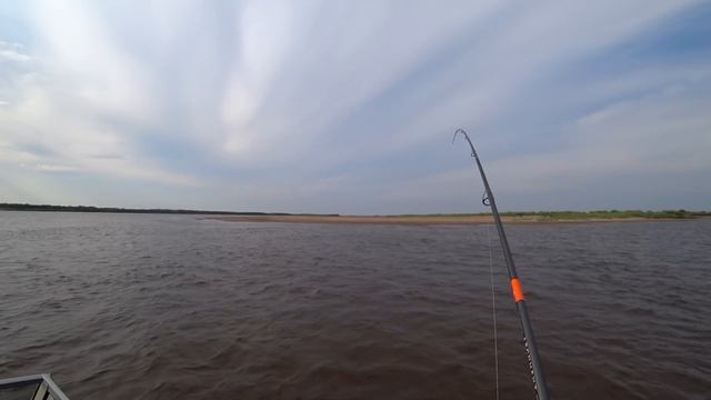 ОГРОМНЫЕ ЯЗИ БОЛЬШЕ ЩУК СГИБАЮТ СПИННИНГ В ДУГУ смотреть онлайн