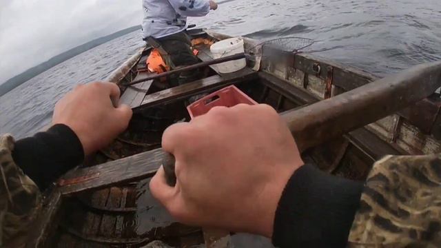 Трофейный медведь у друга!Мерёжи радуют) Щука атакует жерлицы. смотреть онлайн