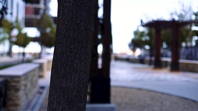 Canon 6D Mark II mi opinión sobre esta cámara (en español) смотреть онлайн