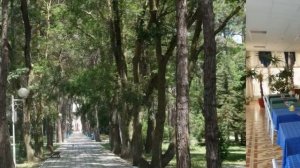 Военный санаторий Дивноморское в Геленджике