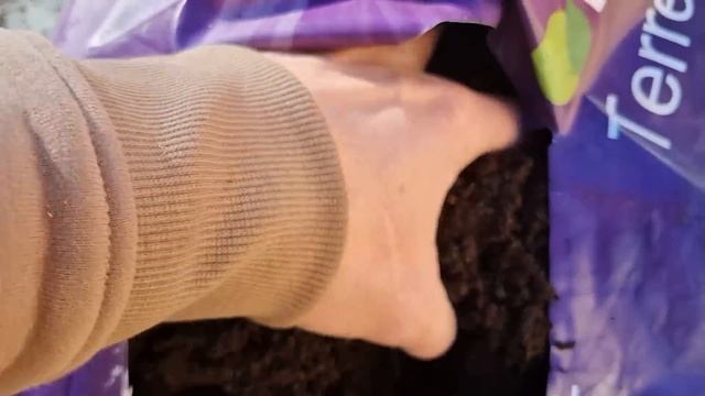Je teste plusieurs terreaux (du très bon au pas bon du tout !) смотреть онлайн