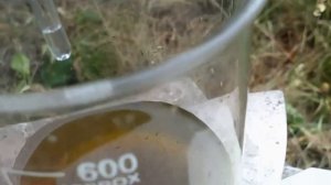 НЕВЕРОЯТНО ЗОЛОТО ИЗ  РЕЧНОГО ПЕСКА !