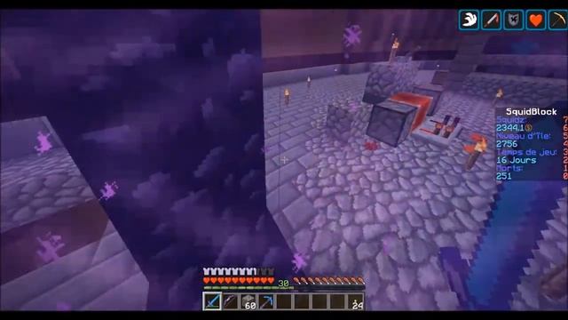 SQUID BLOCK Ep 8 - Level 3000 en vue ! - Minecraft FR смотреть онлайн