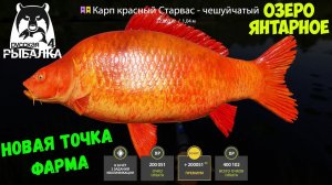 100 ХВОСТОВ ЗА ЧАС НА ЯНТАРНОМ ОЗЕРЕ, ОТЛИЧНЫЙ СПОСОБ ПРОКАЧАТЬ ДОНКУ В РУССКОЙ РЫБАЛКЕ 4 РР4