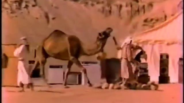 1985 Detroit Highland Appliance Superstore Commercial - Around the World смотреть онлайн