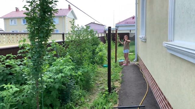 Самая лучшая шпалера для винограда! Как сделать бетонные столбики для винограда и забора смотреть онлайн