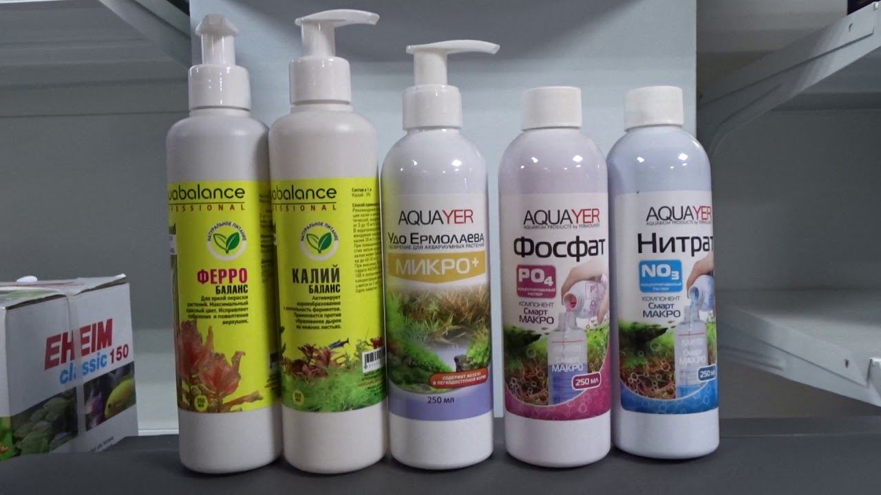 Все о выращивании аквариумных растений смотреть онлайн