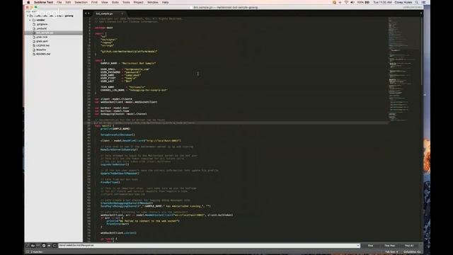 Mattermost Dev Talk - Go Driver and Bot Sample смотреть онлайн