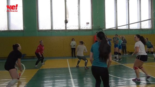Волейбол смотреть онлайн