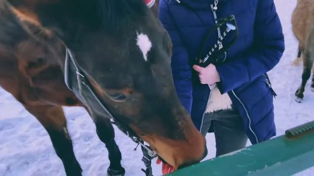 Поездка в Егорьевск. Бережки Холл. смотреть онлайн