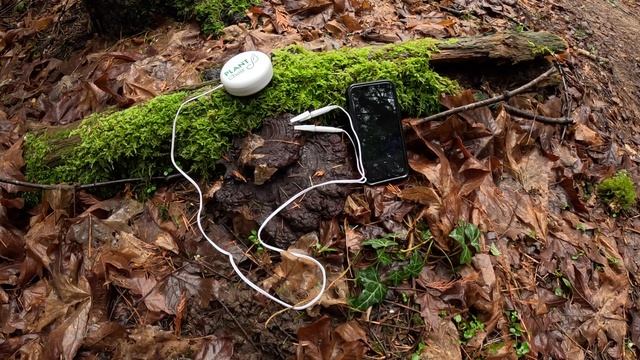 Come With Me On A Rad EBike Ride Into The Forest