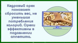 КЕДРОВЫЕ ОРЕХИ - ПОЛЬЗА И ВРЕД