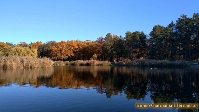 И снова снится мне (авторская песня) смотреть онлайн