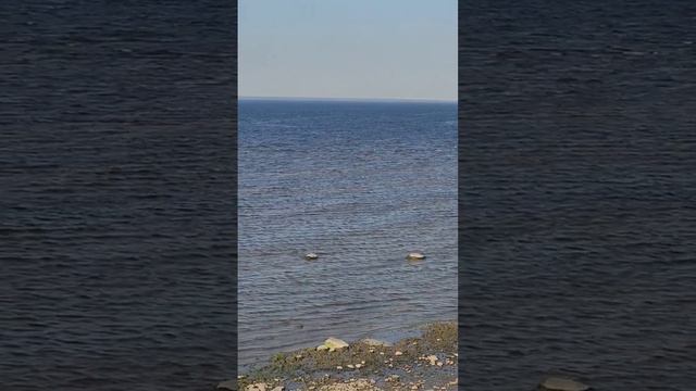 Финский залив #путешествия смотреть онлайн