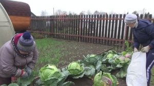 6 соток 17 октября 2023 года Хроника.