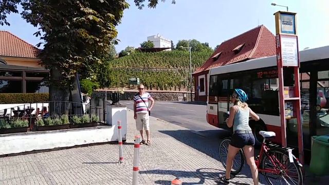 Перед входом в зоопарк смотреть онлайн