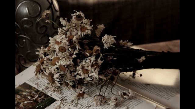 ХРИЗАНТЕМЫ Муз ст Н ХАРИТО исп В ЕНЧЕНКО смотреть онлайн