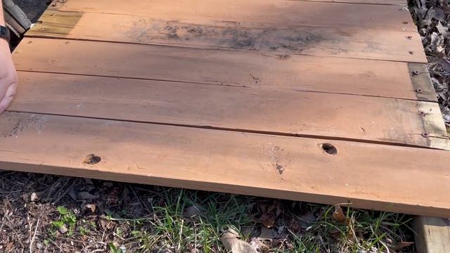 Grow Carrots to Wow Your Friends - Tall Garden Bed Tips! смотреть онлайн