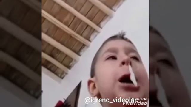 Жидкая картошка смотреть онлайн