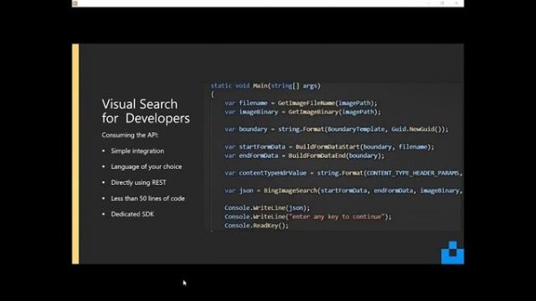 Bing Visual Search API