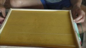 Электронаващиватель для наващивания вощины на рамку. Electric Wire Embedder / www.uleyshop.com